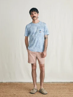 T-Shirts & Henleys^Faherty Brand Sunwashed Graphic Tee - Blue Waves Wash